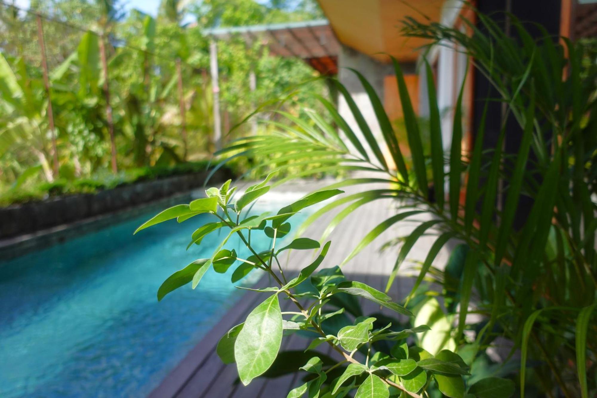 The Vinaya Boutique Hotel Ubud  Bagian luar foto